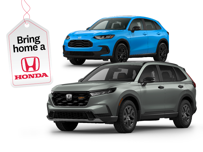 Sleigh your winter adventure