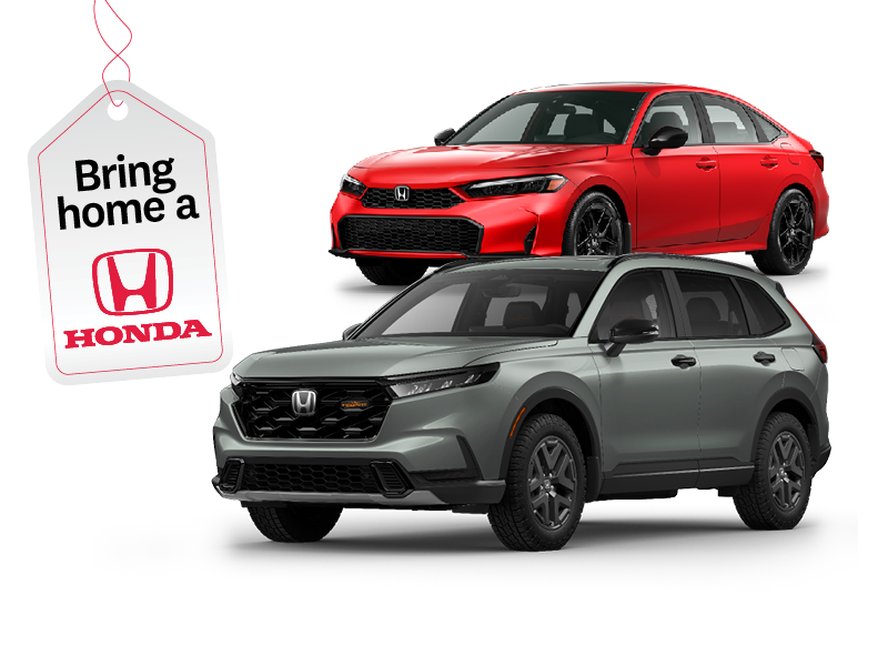 Own winter with confidence