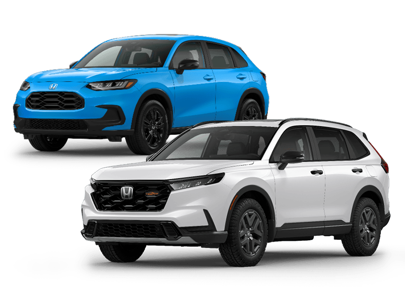 Winter is yours for the taking