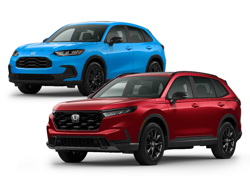 Where confidence meets possibility.