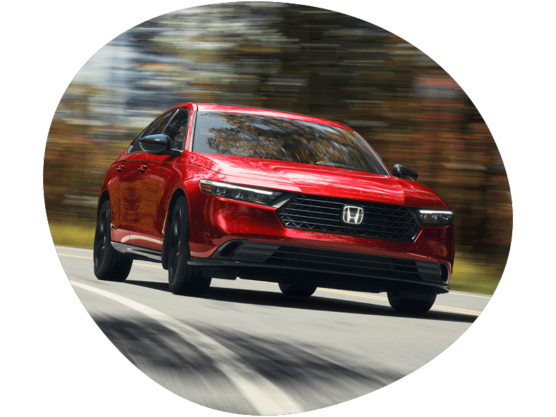Spring Pothole Special